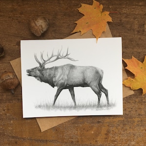 Elk Note Card, 5x7 blank card, wildlife art card, elk art, North American wildlife, elk art, card for hunter, card for dad,animal stationary image 1