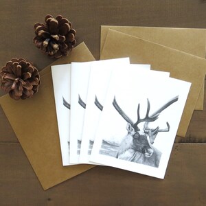 Set di biglietti di auguri Caribou, biglietto d'arte sulla fauna selvatica, biglietto d'auguri in bianco e nero, regalo per studenti scrittori, biglietto per amanti della natura, biglietto per amanti della natura selvaggia