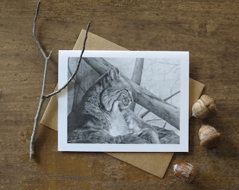 Bobcat Note Card, card for hiker, bobcat cards, wildlife note cards, nature art cards, blank note card, bobcat art, black and white card