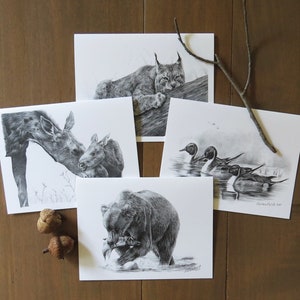 Conjunto de cartões de notas sobre a vida selvagem, papelaria para crianças, presente para amantes de animais, cartões de arte a lápis, presente para escritores da natureza, cartões para amantes da vida selvagem, arte sobre a vida selvagem