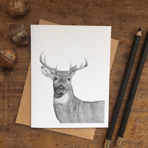 Deer Note Card Set, wildlife note card, deer art card, woodland animal, hunting art, card for hunter,card for husband,stationery gift nature image 2