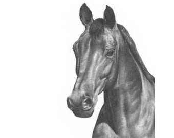 Horse Art Print, wall art for kids, horse art, pencil art, horse gift, gift for horse lover, horse drawing, western art, horse art decor