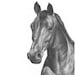 see more listings in the Tout section