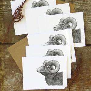 Bighorn Sheep Note Card Set, Wildtier Kunst Karte, Jäger Karte, westliche Kunst Karte, Tier stationär, Junge Outdoor Geschenk, Grußkarte Natur