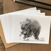 see more listings in the Ensembles de cartes de correspondance de la faune section