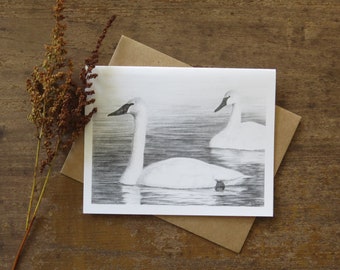 Swan Note Card, swan art, wildlife art card, bird cards, nature card, swans swimming, card for birder, black and white note card, hiker card