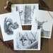 see more listings in the Ensembles de cartes de correspondance de la faune section
