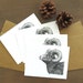 see more listings in the Ensembles de cartes de correspondance de la faune section