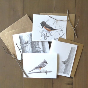 Liedvogel notitiekaartenset, set van 4 kaarten, stationaire kunst in het wild, zwart-witte natuurkaart, cadeau voor natuuronderzoeker, schrijver van vogelkunst, buiten