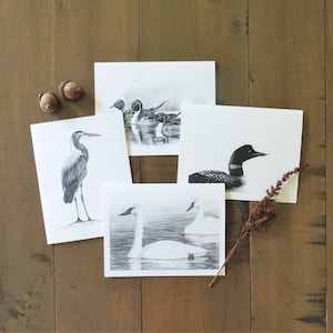 Juego de tarjetas con notas sobre aves acuáticas, tarjetas con arte de aves, arte de aves acuáticas, papelería para amantes de las aves, tarjetas para amantes de la naturaleza, tarjetas con arte de vida silvestre, regalo de vida silvestre