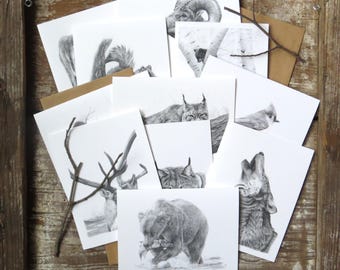 Custom Wildlife Note Card Set, your choice of 8 note cards, nature card, animal card set, wildlife stationary, art note card, cards for kids