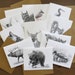 see more listings in the Wildlife Note Card Sets section