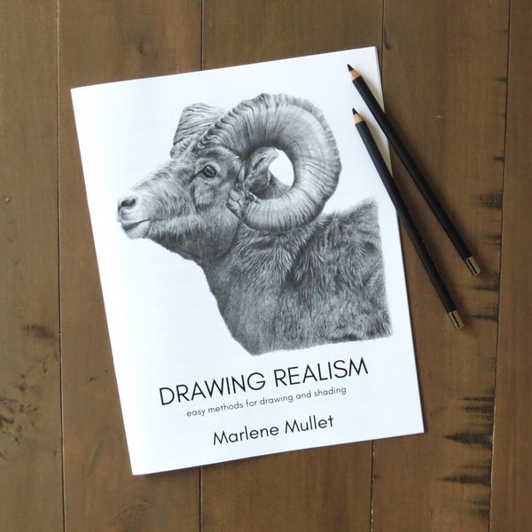 Pencil Drawing Booklet, Gift for pencil artist, realistic drawing guide, teaching booklet for drawing, graphite pencil artist, how to draw