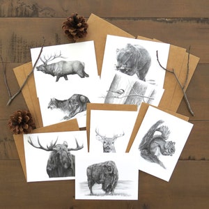North American Wildlife Note-kaartenset, natuurliefhebber stationaire kaarten voor kinderen, schrijverscadeau, natuurwenskaart, kaart voor buitenmens