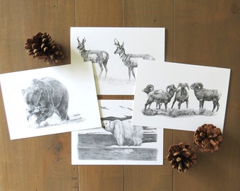 Wildlife Note Card Set, wildlife art cards, pencil drawings. elk card, grizzly bear card, polar bear art, antelope art, western art cards