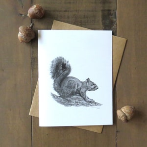 Biglietto di auguri con scoiattolo volpe, biglietto di auguri con animali selvatici, animale della foresta, biglietto d'arte naturalistica per bambini, biglietto d'arte con scoiattolo, regalo di cancelleria per scrittori