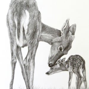 Doe and Fawn Art Print, wildlife nursery wall decor, black and white nursery, white tailed deer art, wall art for log cabin, kid&#39;s room art