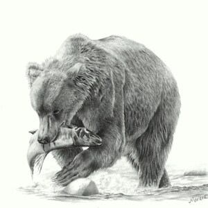 Grizzly Bear Note Card Set, wildlife art card, bear art, card for hunter, bear card for husband, pencil art, art card, blank invitation card image 4