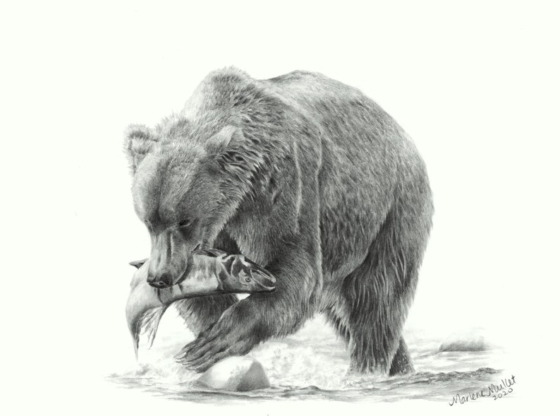 Grizzly Bear Note Card Set, wildlife art card, bear art, card for hunter, bear card for husband, pencil art, art card, blank invitation card image 4