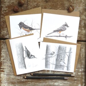 Juego de tarjetas con notas sobre aves, juego de 4 tarjetas, tarjeta de papelería, tarjetas de arte de vida silvestre, tarjetas de naturaleza, tarjetas en blanco y negro, regalo para naturalistas, arte de aves,