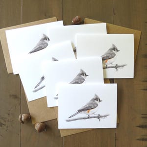 Titmouse Note Card Set, tarjeta de arte de vida silvestre, arte de aves, tarjeta de pájaro cantor, tarjeta de naturaleza, tarjeta de felicitación, tarjeta para observador de aves, regalo de escritor de arte, gracias