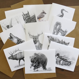 Custom Wildlife Note Cards, your choice of 6 note cards, animal art card, nature card, cards animal lover, cards with drawing, card for kids