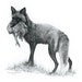 see more listings in the Tout section