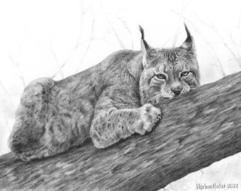 Lynx Art Print, Black and white realistic pencil drawing, Wildlife wall art for Office or Den, Wild cat lover present, Gift for naturalist