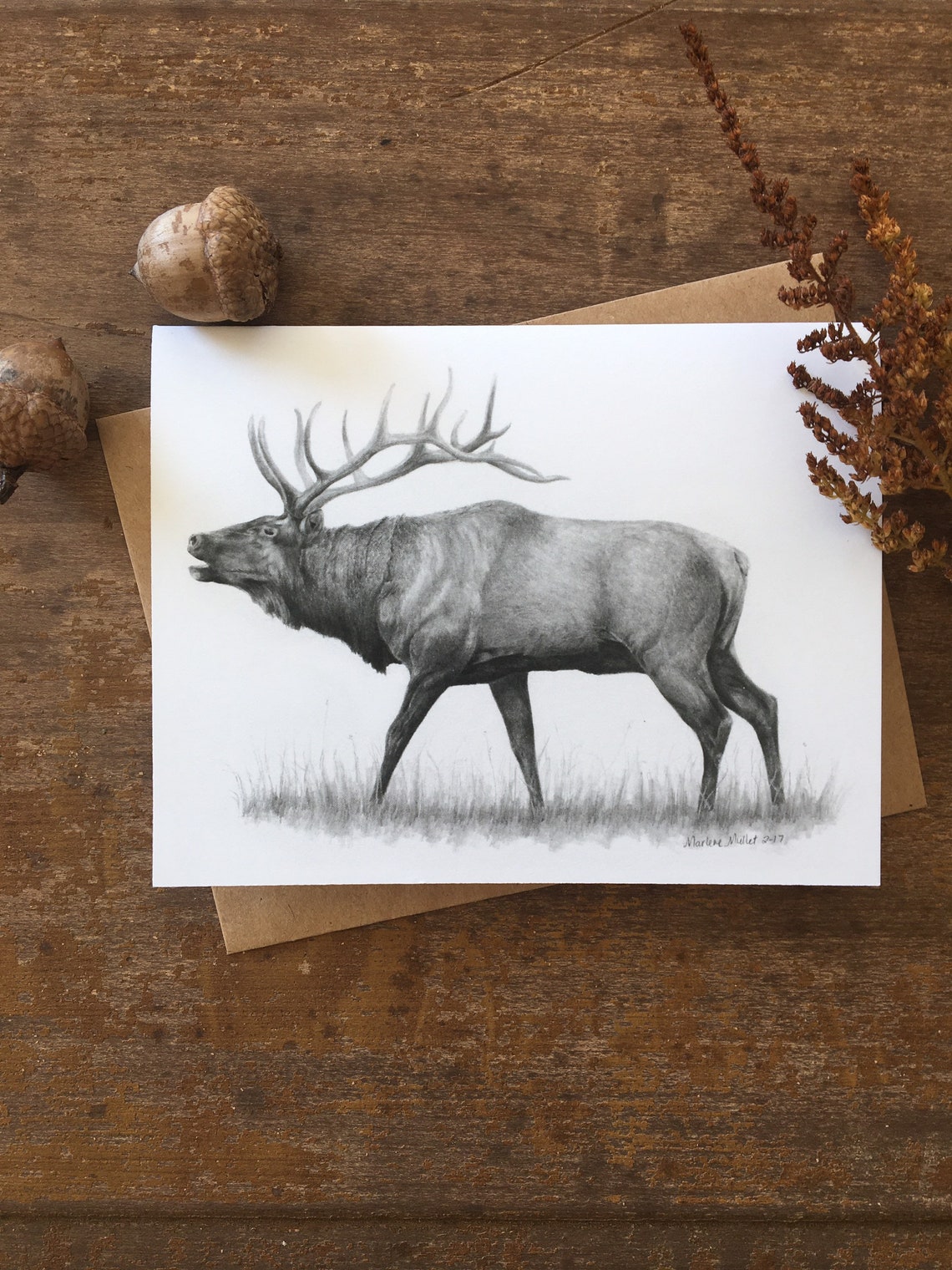 Wildlife Note Cards Gift for Teacher Wildlife Art Cards - Etsy