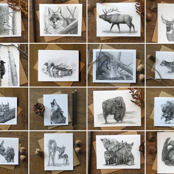 Wildlife Note Cards, Set of 6 Cards, nature writer gifts, animal stationary, animal lover gift, wildlife card assortment, pencil art cards