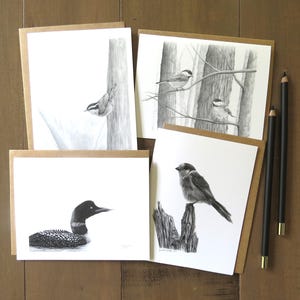Juego de tarjetas con notas sobre aves del norte, juego de 4 tarjetas, tarjeta de papelería en blanco, tarjetas de arte de vida silvestre, tarjetas de naturaleza, regalo para naturalistas, aves canadienses
