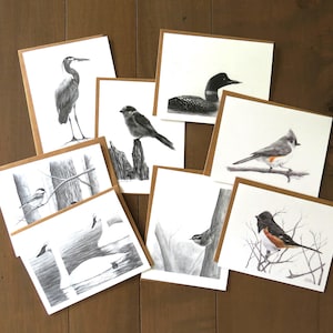 Ensemble de cartes de correspondance oiseau, lot de 8 cartes, carte de papeterie d'art, cadeau d'observateur d'oiseaux, carte de correspondance de nature sauvage, art d'oiseau huard de canard, dessin au crayon