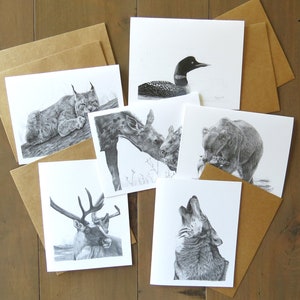 Juego de tarjetas con notas sobre la vida salvaje de Alaska, papelería natural, tarjetas para niños con animales salvajes, tarjetas de invitación para actividades al aire libre, regalo para escritores de viajes, saludos para estudiantes