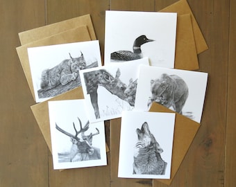 Alaskan Wildlife Note Card Set, nature stationary, wildlife animal cards, cards for kids, invitation cards outdoors, travel writer gift