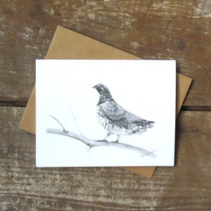 Carte de correspondance de tétras, carte d'art de la faune, art d'oiseau, carte d'oiseau, art de tétras, carte de la nature, carte pour ornithologie, cartes en vente, carte de voeux animal image 2