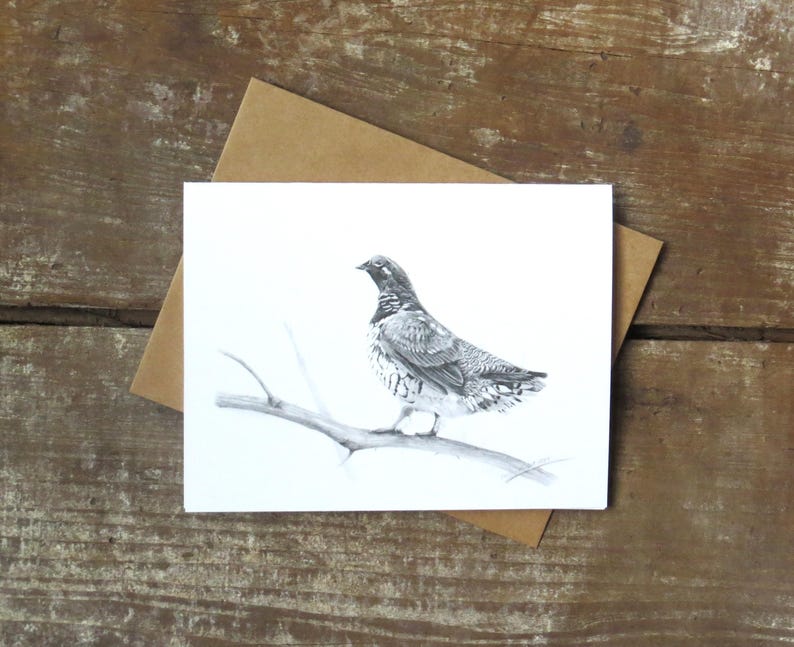 Carte de correspondance de tétras, carte d'art de la faune, art d'oiseau, carte d'oiseau, art de tétras, carte de la nature, carte pour ornithologie, cartes en vente, carte de voeux animal image 2