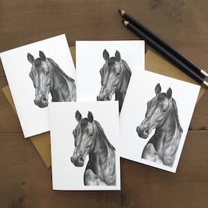 Horse Note Card Set, art cards, horse art, horse cards, greeting card,farm animal card,card for horse lover,art teacher gift, equestrian