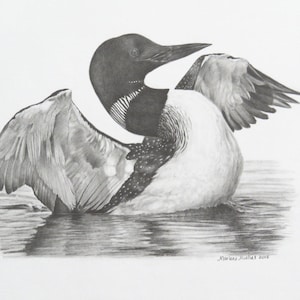 Loon Art Print, wildlife art print, nature art, bird art, art decor, gift for nature lover, cabin decor, loon art, pencil drawing gift