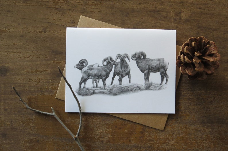 Bighorn Sheep Note Card Set, wildlife art card, black and white note card, nature cards, cards for him, animal card, writer gift, pencil art image 2