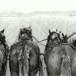 Horse Note Card, plow horses, farm animal cards, horse cards, pencil art, art cards, card for teacher, card gifts, horse gifts, note cards image 3