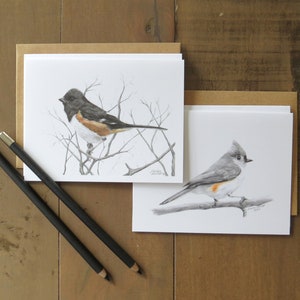 Ensemble de 4 cartes oiseaux, ensemble de cartes oiseaux, cartes oiseaux, carte faune, cartes stationnaires, cartes de voeux, cartes oiseaux, cadeaux oiseaux, oiseaux de basse-cour
