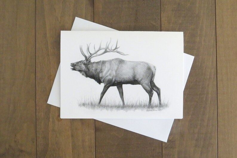 Elk Note Card, 5x7 blank card, wildlife art card, elk art, North American wildlife, elk art, card for hunter, card for dad,animal stationary image 2
