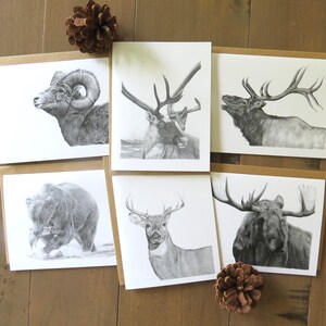 Set di biglietti di auguri Big Game Wildlife, regalo di biglietti da cacciatore, cancelleria artistica sulla fauna selvatica, regalo per gli amanti della natura, biglietti in bianco e nero, biglietti con animali selvatici