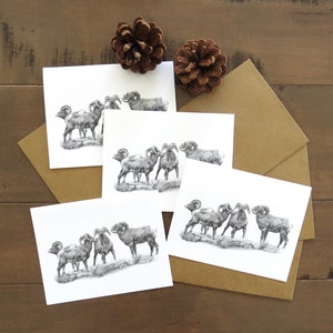 Juego de tarjetas con forma de carnero de las Rocosas, tarjetas con arte de vida salvaje, tarjetas en blanco y negro, tarjetas de naturaleza, tarjetas para él, tarjetas con animales, regalo para escritores, arte con lápiz