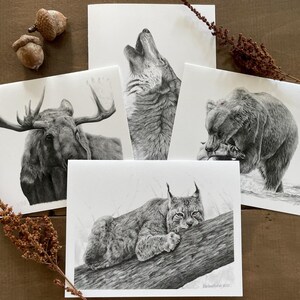 Ensemble de cartes de correspondance animaux sauvages, carte nature, carte d'art animalier, carte pour professeur, carte de correspondance animal sauvage, cadeau d'écrivain, cartes pour enfants