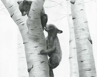 Black Bear Art Print, wildlife art prints, forest animal nursery, cabin gift animal lover, cabin wall art kids room fine art lodge decor