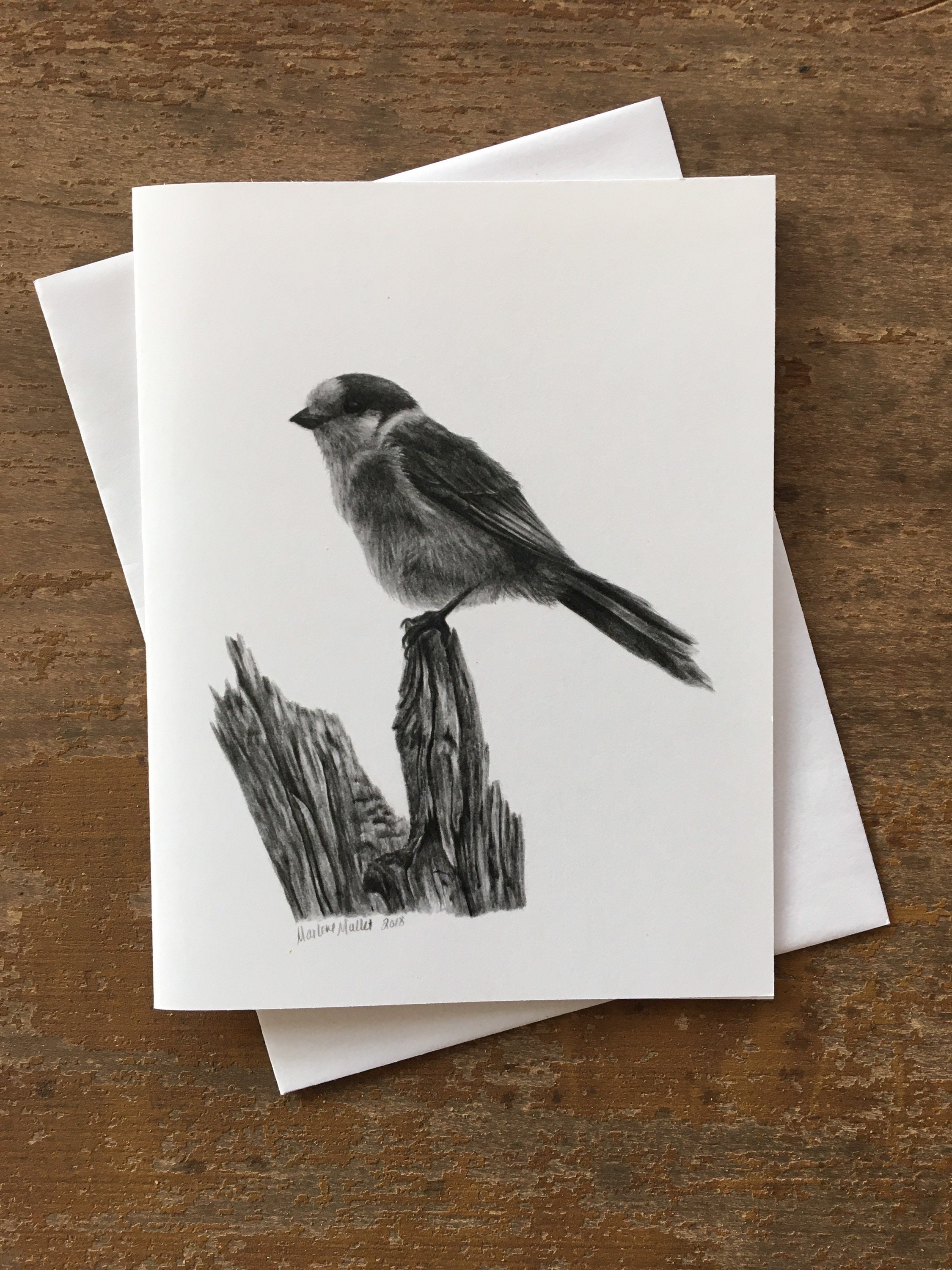 Bird cards Pack of 8 cards art cards bird art stationary Etsy