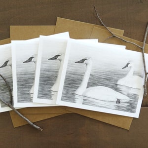 Juego de tarjetas con cisnes, arte de cisnes, tarjetas con arte de vida salvaje, tarjetas de aves, tarjetas de naturaleza, cisnes nadando, tarjetas para observadores de aves, tarjetas en blanco y negro