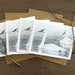 see more listings in the Ensembles de cartes de correspondance de la faune section