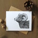 see more listings in the Cartes de notes sur la faune section